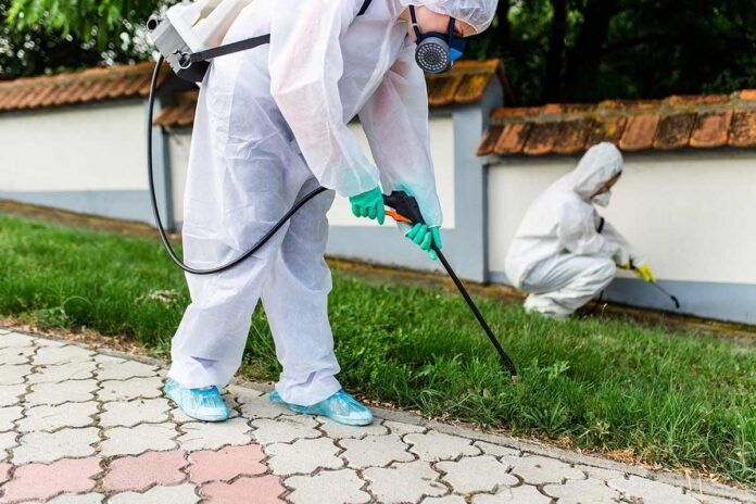 Pest Control: Comprehensive Solutions For Bed Bug Treatment